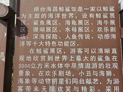-烟台海昌鲸鲨海洋公园