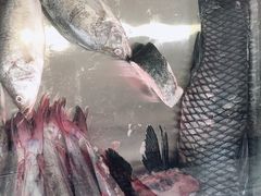 -老刘生态大鱼坊铁锅炖鱼(赛马场店)