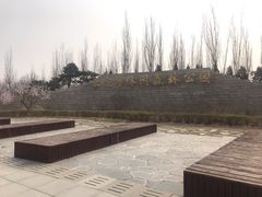 -永定河休闲森林公园