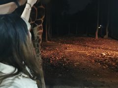 -清迈夜间动物园