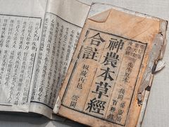 -广东中医药博物馆