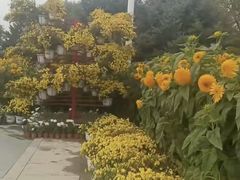-北陵公园