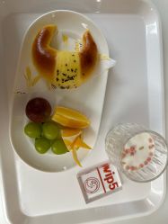-中法母婴月子中心(南湖创始店)