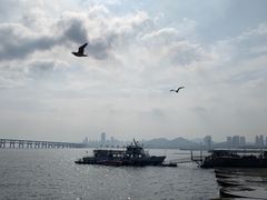 -星海广场