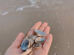 -老虎石海上公园