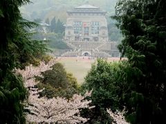 -武汉大学-樱园