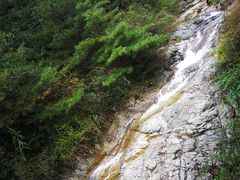 -王顺山国家森林公园