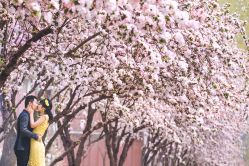 mmexport1428741353868-戛纳印象摄影(潮拍定制馆)