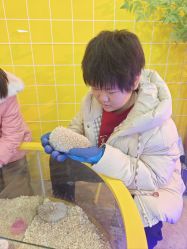 -神奇动物撸宠馆·羊驼·小浣熊·异宠(豫园店)