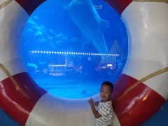 -烟台海昌鲸鲨海洋公园