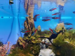 -Lumi露米·美甲美睫品质店