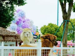 -国色天乡三期陆地乐园