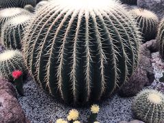 -南通洲际绿博园