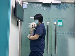 -北京观赏动物医院·24小时大型综合·猫专科·异宠专科