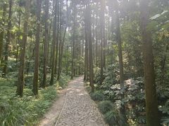 -狼山风景名胜区