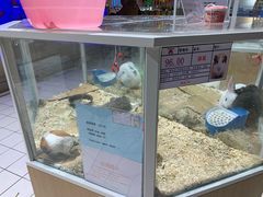 -大润发(南湖店)