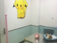 -特一安24小时宠物医院·骨科·中兽医
