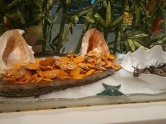 -银鲨海鲜烤肉火锅自助餐厅(五星店)