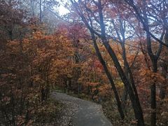 -本溪老边沟风景区