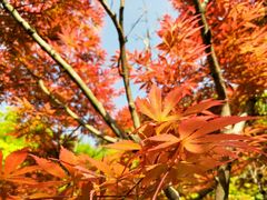 -苏州河梦清园环保主题公园