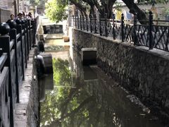 -小洲村