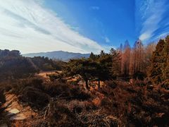 -国家植物园南园