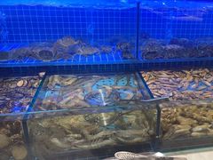 -冀粤香海鲜自助餐厅(西美五洲店)