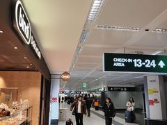 -米兰马尔彭萨国际机场