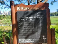 -华侨城湿地公园