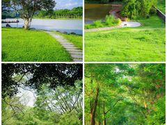 -番禺大夫山森林公园