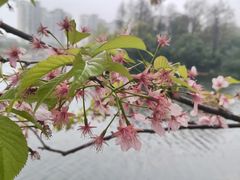 -新江湾城公园