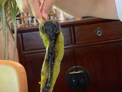 -La Medina餐厅(亮马河南路店)