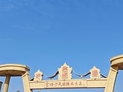 -金塔沙漠胡杨林景区