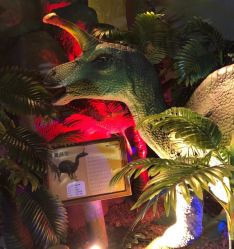 -恐龙探索乐园(磁器口店)