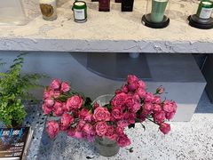 -PlantsEatery·植物食堂(REX春熙店)