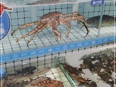 水产区-大锅强·蒸海鲜青岛菜(金沙滩店)
