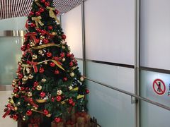 -首都机场t3-c国航两舱休息室