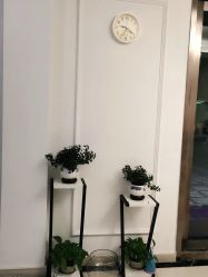 -香秀空间科技抗衰·美容中心