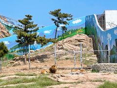 -西霞口神雕山野生动物世界
