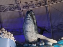 -烟台海昌鲸鲨海洋公园