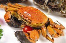-新光酒家·河豚·海鲜·蟹料理(浦东店)