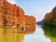 -上海海湾国家森林公园