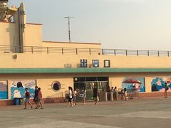 -秦皇岛乐岛海洋王国