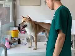 -欧奕国际动物医院