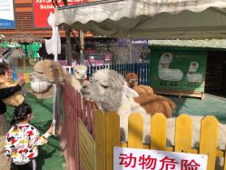 -萌宠亲子动物乐园(槐房万达店)