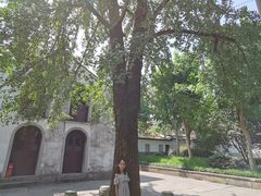 -溪口-滕头旅游景区