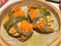 -杨氏青龙虾·羊蝎子(金盛路总店)