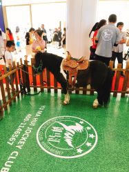 -日童仓库(恒茂梦时代广场店)