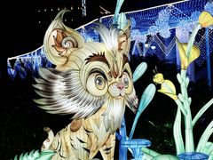 -海合安武汉极地海洋公园