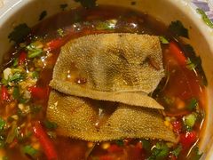 -码头故事火锅(郫县红光店)